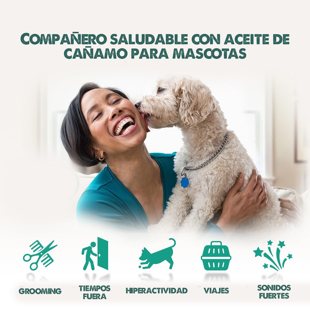 PetHemp - Suplemento Natural para tu Mascota