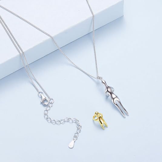 Collar de plata 925 con caja de regalo premium