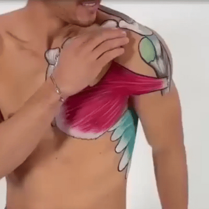 ShoulderGuard | Soporte Ortopédico de Neopreno para Hombro