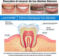 Lápiz Blanqueador Dental | Adiós Dientes Amarillos  x2 unidades - 3