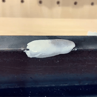 Masilla Epóxica de Hierro Reforzada - Soldadura en Frío Ultra Resistente | COMPRA 1 Y LLEVA 2 - 2