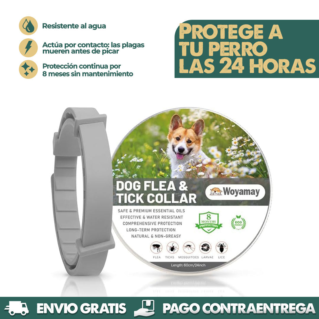 Dog Flea & Tick Collar - Collar Antipulgas