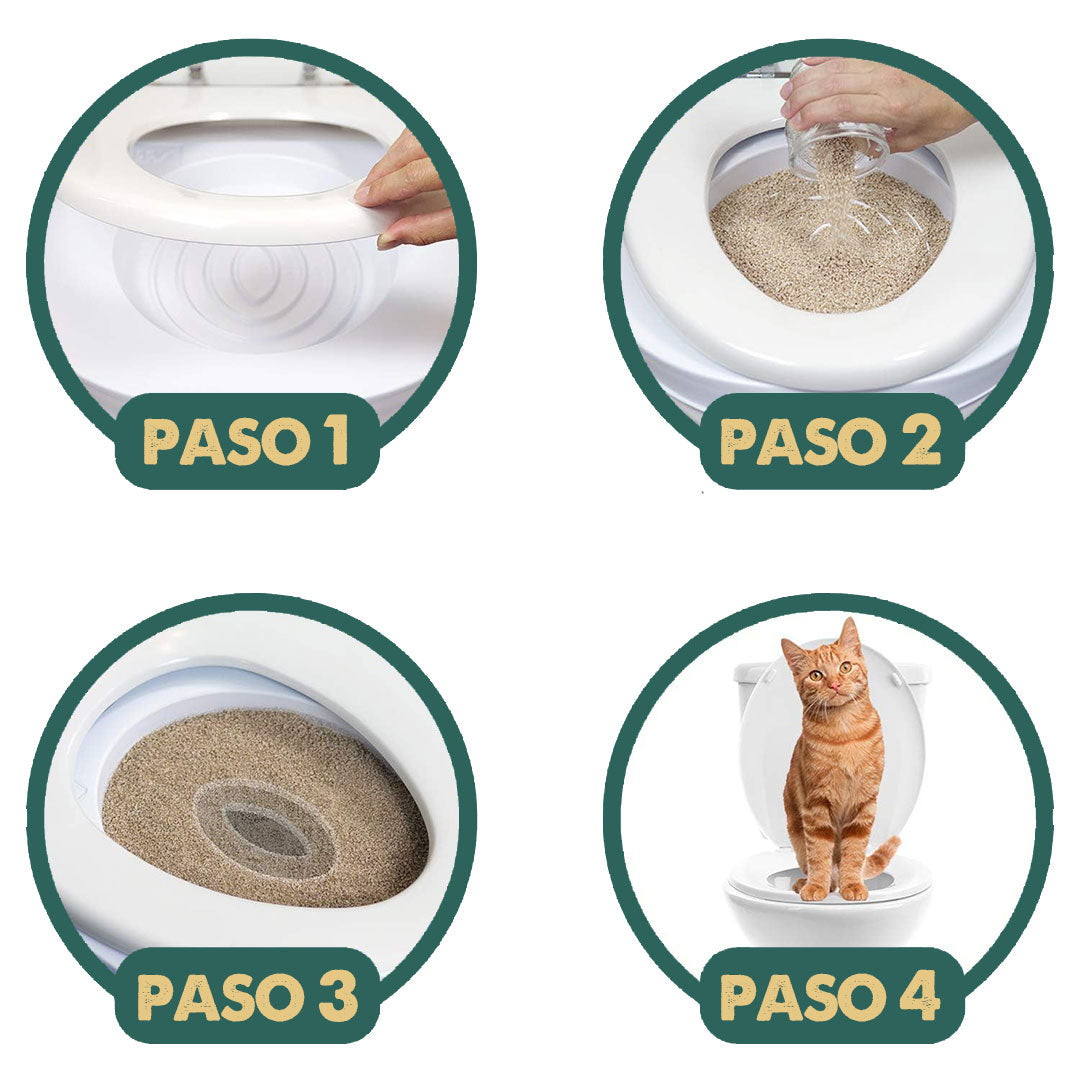 CitiKitty | No más cajas de arena olorosas