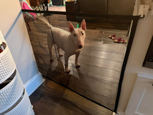 Foto real de un comprador