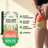 Wellnee: Parches Herbales para Alivio de Rodilla y Articulaciones | Compra 10 y lleva 30 - 3
