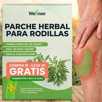 Wellnee: Parches Herbales para Alivio de Rodilla y Articulaciones | Compra 10 y lleva 30 - 6