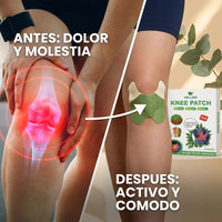 Wellnee: Parches Herbales para Alivio de Rodilla y Articulaciones | Compra 10 y lleva 30 - 2